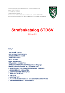 Strafenkatalog STDSV