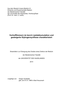 Dissertation Gregor Schleider III