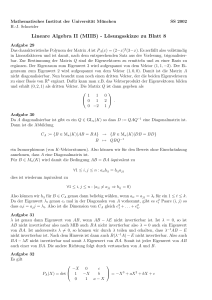 Lineare Algebra II (MIIB) - Lösungsskizze zu Blatt 8