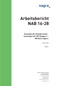 Arbeitsbericht NAB 16-28