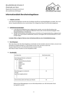 Informationsblatt Berufseinstiegsklasse