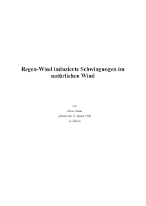 Regen-Wind induzierte Schwingungen im natürlichen Wind