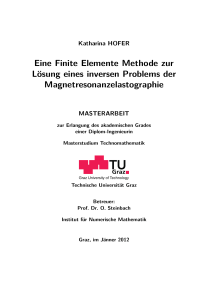 Eine Finite Elemente Methode zur Lösung eines