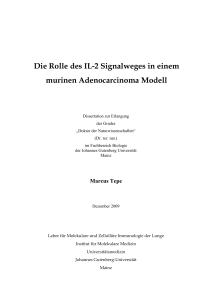 Die Rolle des IL-2 Signalweges in einem murinen