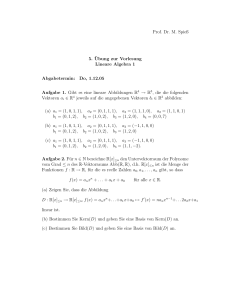 Prof. Dr. M. Spieß 5. ¨Ubung zur Vorlesung Lineare Algebra 1