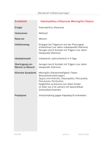 Krankheit Haemophilus influenzae Meningitis/Sepsis Steckbrief