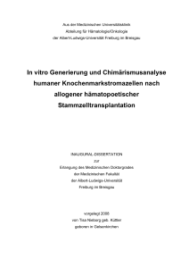 In vitro Generierung und Chimärismusanalyse humaner