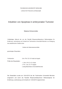 Induktion von Apoptose in embryonalen Tumoren