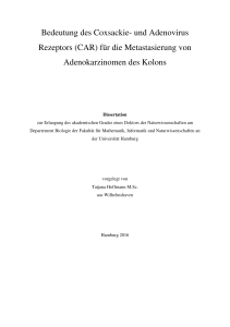 Bedeutung des Coxsackie - E-Dissertationen der Universität Hamburg