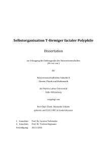 Selbstorganisation T-förmiger facialer Polyphile Dissertation