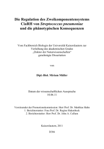 Dissertation Miriam Müller - KLUEDO