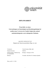 diplomarbeit