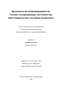 PhD thesis - Universität Stuttgart