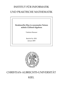 Struktureller Bias in neuronalen Netzen mittels Clifford