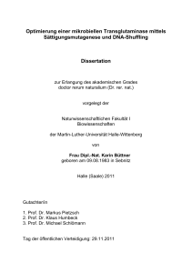 2012-02-07 Dissertation Büttner