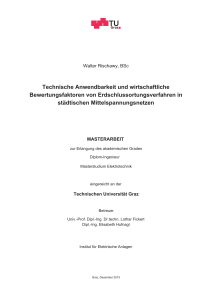 Technische Anwendbarkeit und wirtschaftliche