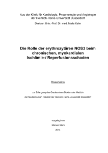 Die Rolle der erythrozytären NOS3 beim chronischen, myokardialen