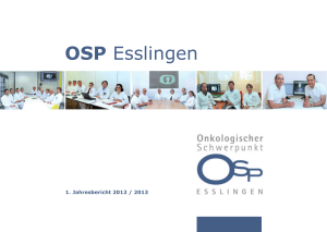 OSP Esslingen Jahresbericht 2012 / 2013