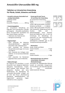 Amoxicillin-Uterusstäbe 800 mg - Pharma-Partner Vertriebs-GmbH