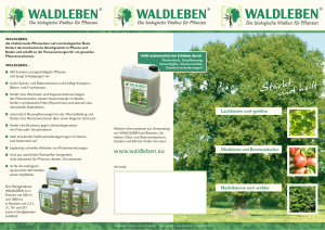 Flyer Baum - GartenBaumschule Becker