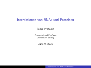 Interaktionen von RNAs und Proteinen