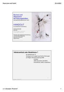 Region Hannover Septl 2012 BurnDepri handout Spengler