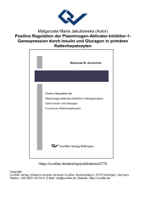 Positive Regulation der Plasminogen-Aktivator