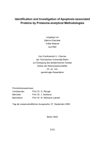 Identification and Investigation of Apoptosis