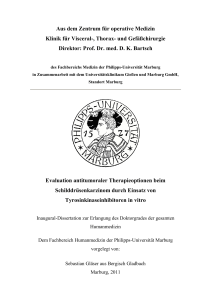 Evaluation antitumoraler Therapieoptionen beim