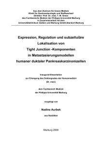 Expression, Regulation und subzelluläre Lokalisation von Tight