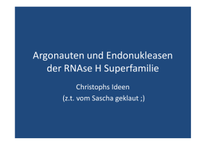 Argo und Endonukleasen der RNAse H Superfamilie