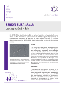 SERION ELISA classic Leptospira IgG / IgM