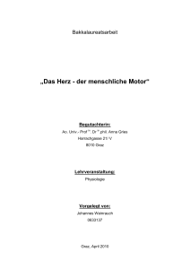 „Das Herz - der menschliche Motor“