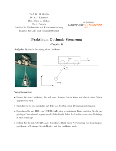 Praktikum Optimale Steuerung