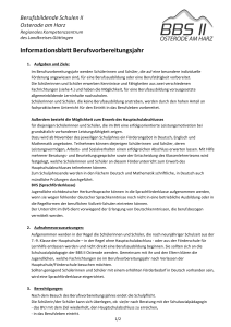 Informationsblatt Berufsvorbereitungsjahr