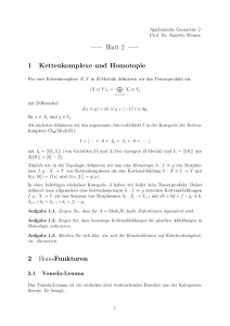 Blatt 2 1 Kettenkomplexe und Homotopie 2 Hom