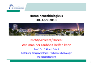 Homo neurobiologicus 30. April 2013 Nicht/Schlecht/Hören: Wie