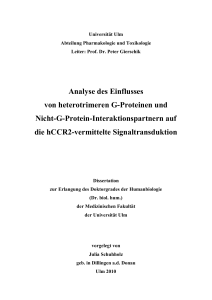 Analyse des Einflusses von heterotrimeren G-Proteinen und