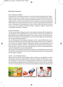 Diabetes 2 H1_Layout 1 - Diabetiker Baden