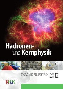 status und perspektiven 2012 - Komitee für Hadronen