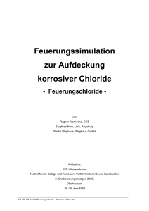 Feuerungssimulation zur Aufdeckung korrosiver Chloride