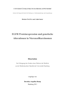 EGFR Proteinexpression und genetische Alterationen in