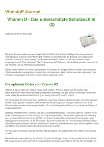 Vitalstoff Journal Vitamin D - Das unterschätzte Schutzschild (2)