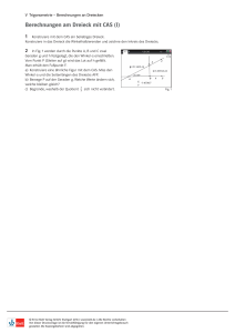 Berechnungen am Dreieck mit CAS