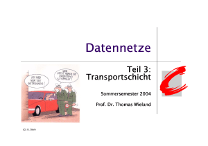 Datennetze