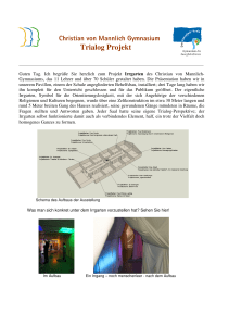 Trialog Projekt - Christian von Mannlich