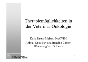 Therapiemöglichkeiten in der Veterinär-Onkologie