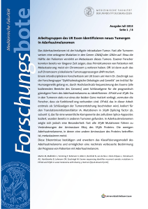 Arbeitsgruppen des UK Essen identifizieren neues Tumorgen in
