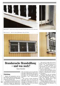 Brandursache Brandstiftung - und was noch?