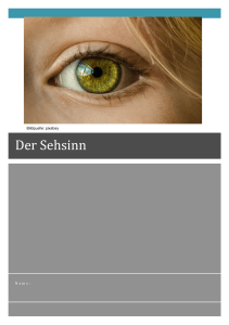 Der Sehsinn - WebQuest